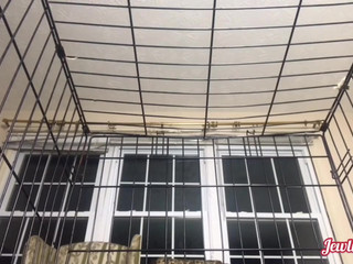 jewliesparxx-bbw-farts-on-boot-licking-fart-slave-2020-01-16_5r7TLj