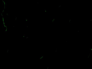 fiorafierce-playing-with-my-new-toy-teaser-2020-01-07_JMr9jO