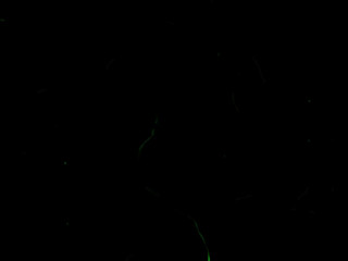 fiorafierce-testing-a-new-toy-2020-01-07_quwxbJ