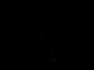 fiorafierce-blowjobs-are-fun-2020-01-06_52z4WU (2)