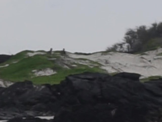 Haley420 -Public BJ On The Beach