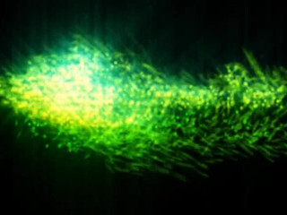 Daizha Morgann  manyvids- My Sister AJ Morgann in a 69 making 8in of dick vanish like whaaat...