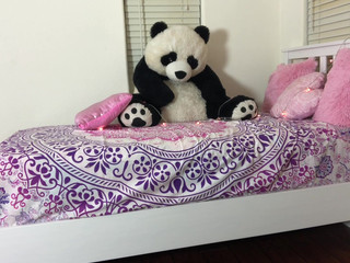 Emily Willis -Sami and I got to play last night good moaning (1)