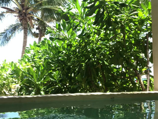 Stella Cox -OnlyFans