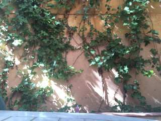 Charley Atwell -Myself and Terri Lou doing a double huge boobed brunette 10 minute strip JOI clip