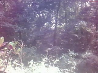 jalyn 4.08.2019 226_myfreecams