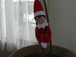 Maria Moore manyvids bitch in uniform touches nipples