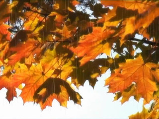 LIUDMILA manyvids hot brunette girl pulls her pussy