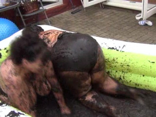 bustykim Exquisite Kral