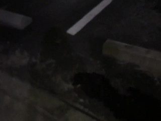 EllieAndKay openwork blonde erotically moving in front of the camera