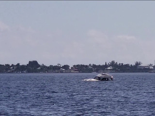 Miss Ellie amazing chicks and have fun with sex toys