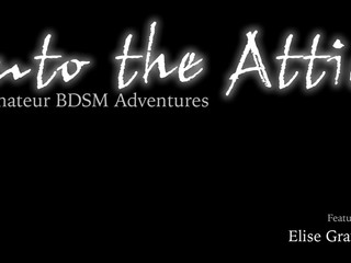 into the attic 22 January 2020