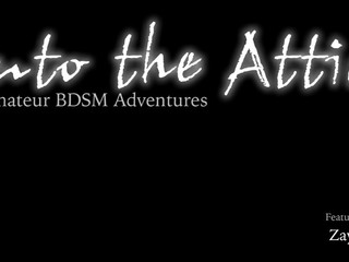 into the attic busty chick shows her charms