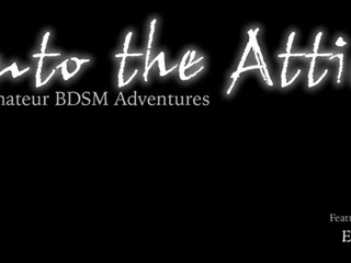 into the attic Gourmet Shmarin