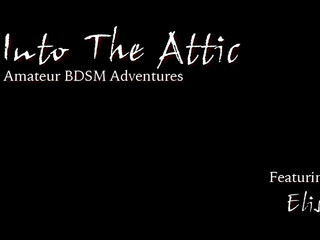 into the attic 11 January 2020