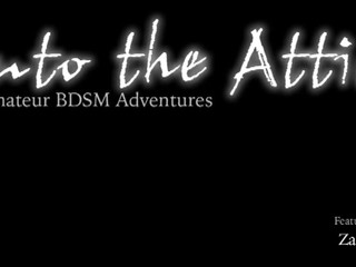 into the attic Pretty brunette