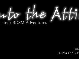 into the attic online show January 2020