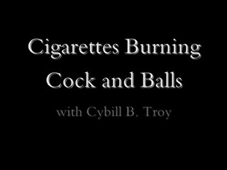 cybilltroy  fuck toys