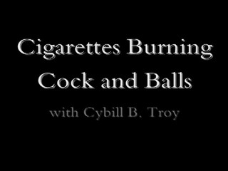 cybilltroy  homemade vaginal sex on camera