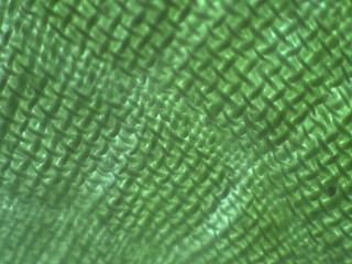 kelly hart & gorgeous chick fucks cunt with phallus