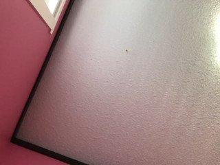 soleilishorny  Beautiful bitch