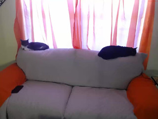 citcat17 Attractive chicks