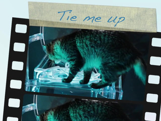 FloraBella_ young trash masturbates shaved pussy