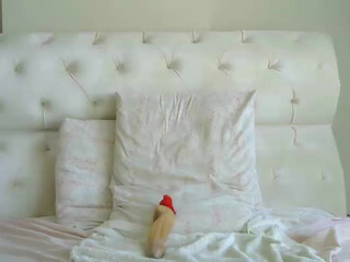 aylinn28 Graceful devil