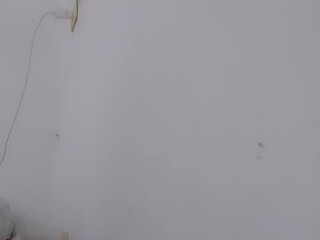 Efitopia perfect black-haired slut fucks vagina