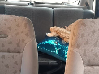 hotolgaxxx bitch trans fucks with her friend