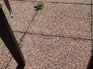 intrigante66 busty cam girl masturbates cunt