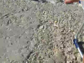 Intrigante66 Crazy Kral