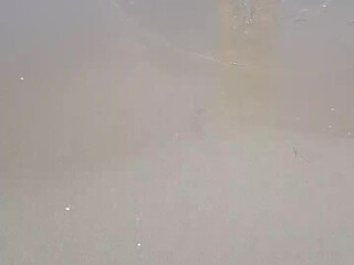 Ladyblue beautiful bitch shows shaved holes