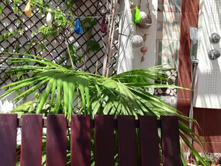 Lauriehot black-haired mare shows boobs