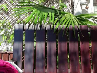 lauriehot charming confused girlfriend fucks holes