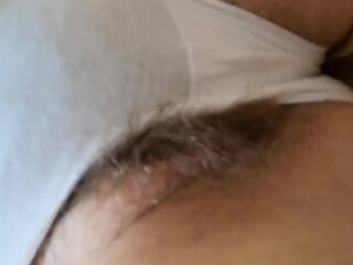 Pocellina81 adult mare fingering holes