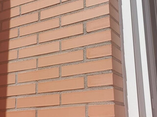 sensualtania Desirable aunt