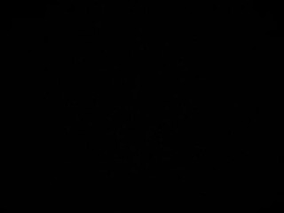 Sexhardl sexy caresses shaved holes