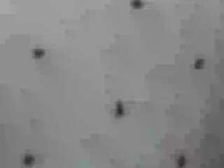 Tefaluu Juicy brunette