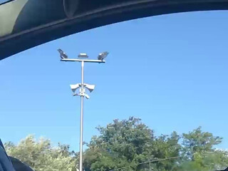 tutta sesso shy young lady fingering sex toys