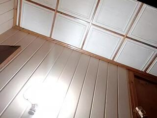 AmeliaSeen shaggy pussy