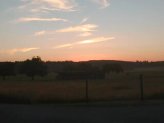 blueeye 21 March 2020