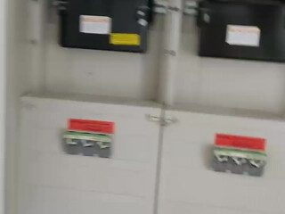 blueeye Piquant female