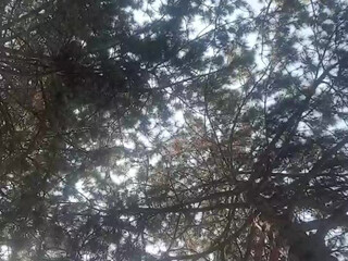 gija sexy nymph excites with delicious tits