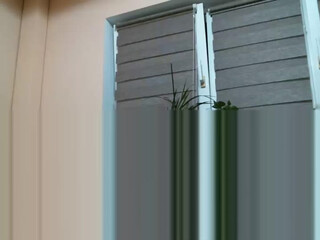 have spicy chick exposes sexy body