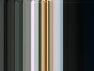 Littleletti petite brunette babe sucking dildo