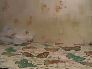 SexyTeam chubby mare in honor of the holiday shows its bust