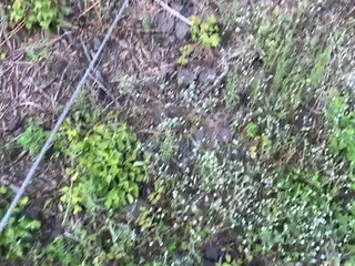 So hot  private  in cold new year's eve