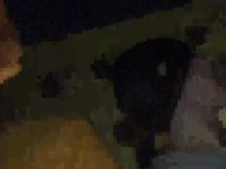 TreshGirls Titty mare