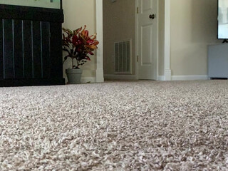 footbaddie manyvids onlyfans predatory panther craves to cum in the process of jerking